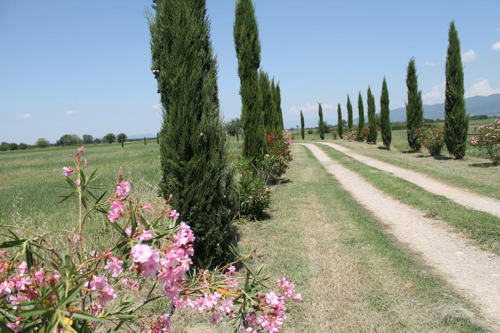 Il Grifone A Cortona Residence Exterior foto